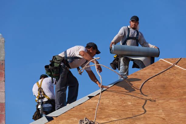 Best Metal Roofing Contractor  in Poplar Grove, IL