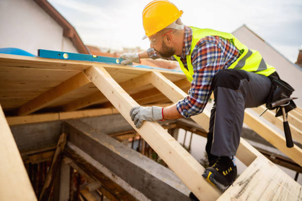 Best Roof Gutter Cleaning  in Poplar Grove, IL